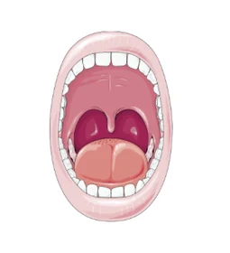 Bouche